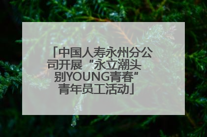 中国人寿永州分公司开展“永立潮头 别YOUNG青春”青年员工活动